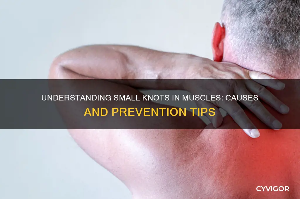 what causes small knots in muscles