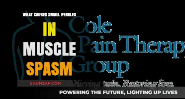 Understanding Muscle Spasms: Causes of Small Pebbles in Twitching Muscles