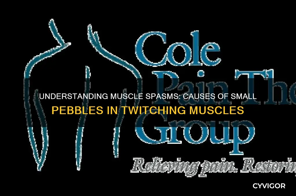 what causes small pebbles in muscle spasm