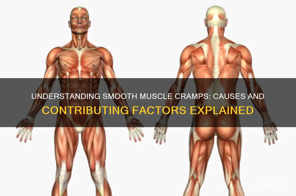 what causes smooth muscle cramps