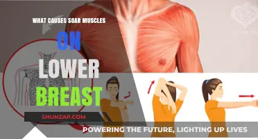 Understanding Sore Muscles Below the Breasts: Causes and Remedies