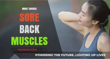 Understanding Sore Back Muscles: Common Causes and Prevention Tips