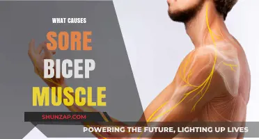 Understanding Sore Bicep Muscles: Causes and Effective Relief Strategies