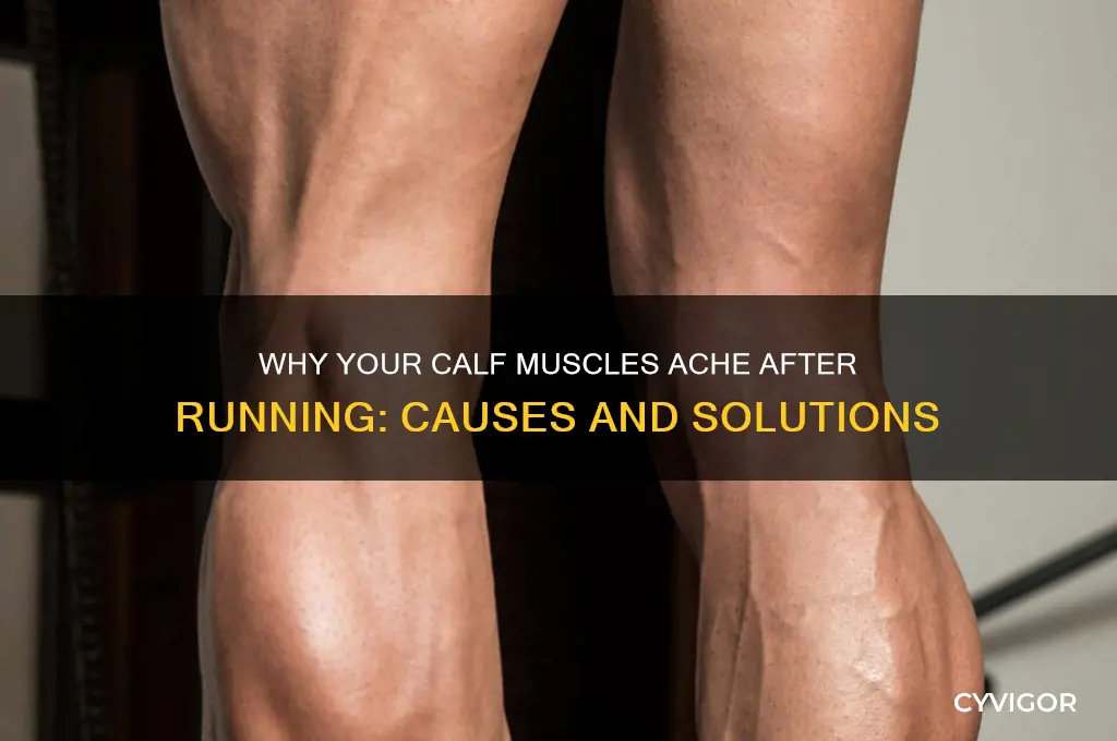 what causes sore calf muscles after running