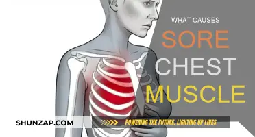 Why Do My Chest Muscles Ache?