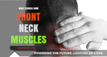 Sore Front Neck Muscles: Causes, Prevention, and Relief Strategies