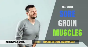 Understanding Sore Groin Muscles: Causes, Prevention, and Effective Relief Tips