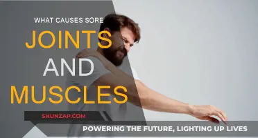 Unlocking the Mystery of Sore Joints and Muscles