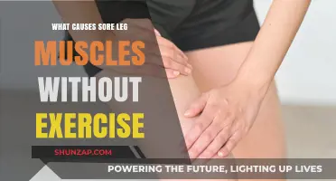 Unexplained Leg Muscle Pain: Causes Beyond Physical Activity