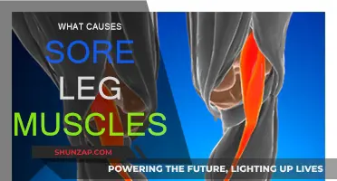 Leg Muscle Pain: Understanding the Root Cause