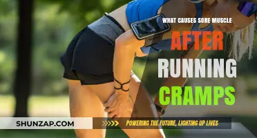 Understanding Post-Run Muscle Soreness and Cramps: Causes and Remedies