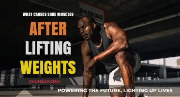 Understanding Delayed Onset Muscle Soreness After Weight Training