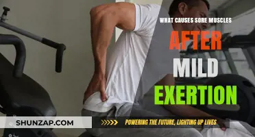 Why Mild Exercise Leaves You Sore: Unraveling Post-Exertion Muscle Pain