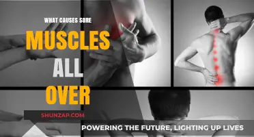 Understanding Full-Body Muscle Soreness: Causes and Remedies Explained