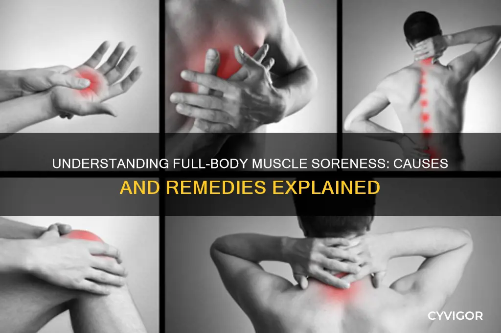 what causes sore muscles all over