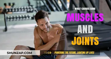 Understanding Sore Muscles and Joints: Causes and Remedies Explained