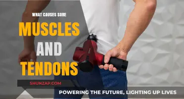 Understanding Sore Muscles and Tendons: Causes and Prevention Tips