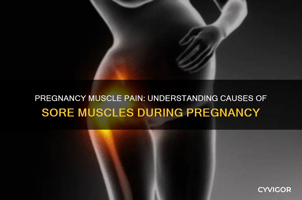 what causes sore muscles during pregnancy