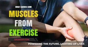 Understanding Delayed Onset Muscle Soreness: Causes and Recovery Tips