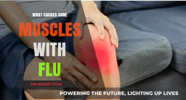 Why Flu Triggers Muscle Pain: Understanding the Sore Muscle Connection