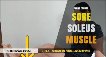 Understanding Sore Soleus Muscle: Causes, Symptoms, and Effective Relief Strategies