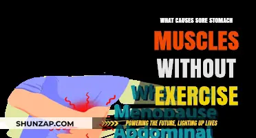Unexplained Sore Stomach Muscles: Causes Beyond Exercise and Workouts