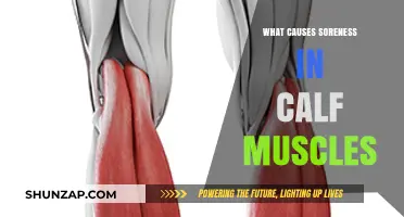 Understanding Calf Muscle Soreness: Causes and Effective Relief Strategies