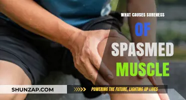 Understanding Muscle Spasms: Causes of Soreness and Effective Relief Strategies