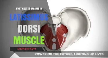 Understanding Latissimus Dorsi Spasms: Causes and Triggers Explained