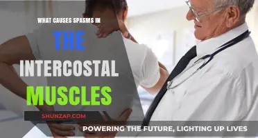 Understanding Intercostal Muscle Spasms: Causes and Triggers Explained
