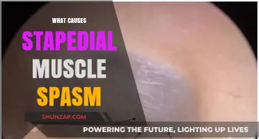 Understanding Stapedial Muscle Spasm: Causes and Triggers Explained