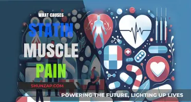 Understanding Statin Muscle Pain: Causes, Mechanisms, and Relief Strategies