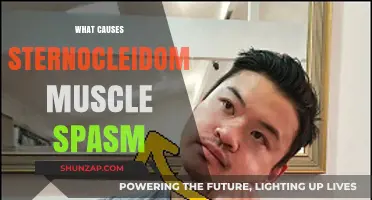 Sternocleidomastoid Muscle Spasm: Causes, Triggers, and Underlying Factors Explained