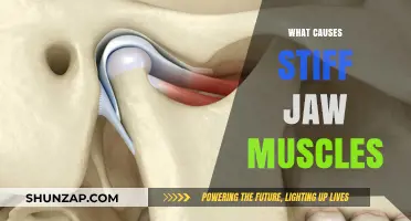 Understanding Stiff Jaw Muscles: Causes and Effective Relief Strategies