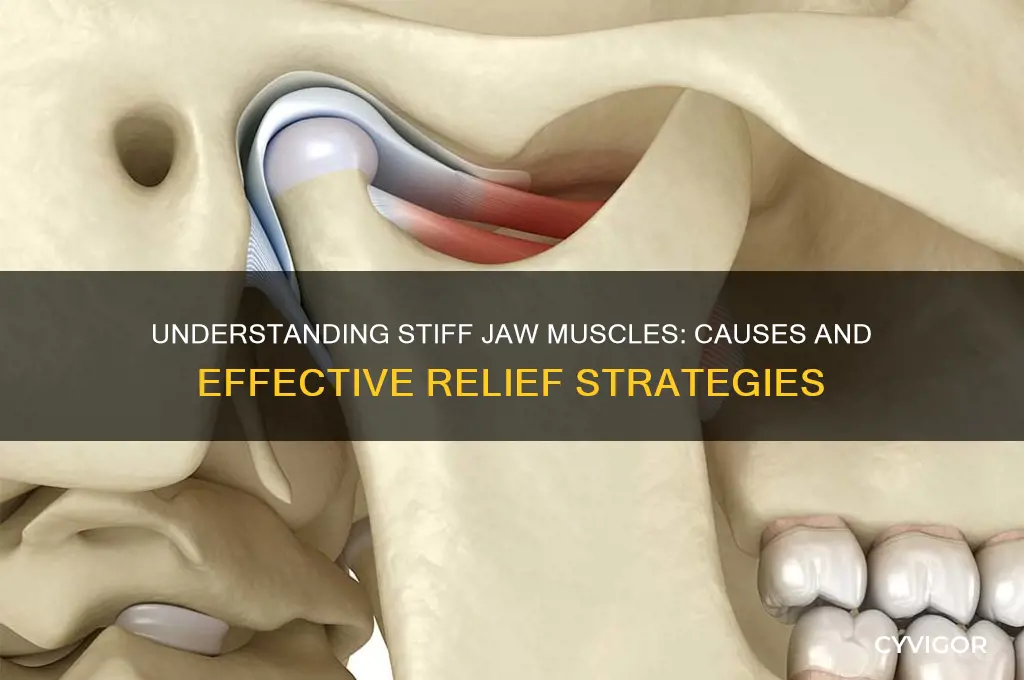what causes stiff jaw muscles