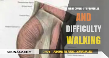 Stiff Muscles and Walking Difficulty: Uncovering the Root Causes