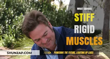 Understanding Stiff, Rigid Muscles: Causes and Contributing Factors