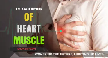 Understanding the Causes of Heart Muscle Stiffening: A Comprehensive Guide