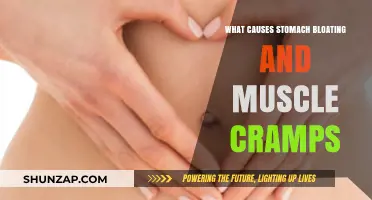 Understanding Stomach Bloating and Muscle Cramps: Common Causes Explained