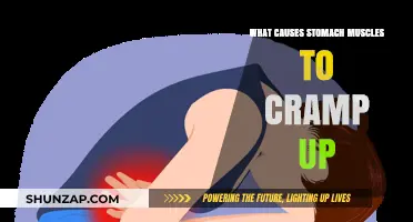 Understanding Stomach Muscle Cramps: Causes and Prevention Tips