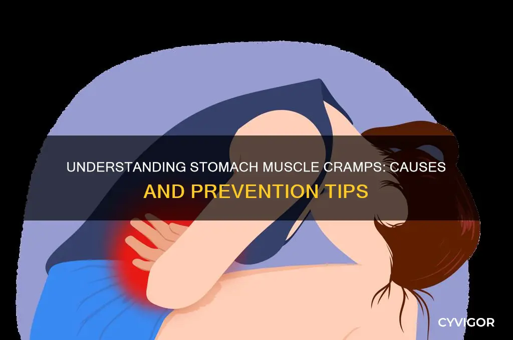 what causes stomach muscles to cramp up
