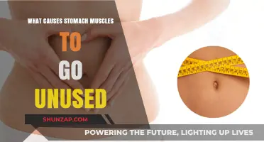 Why Your Stomach Muscles Become Inactive: Uncovering the Root Causes