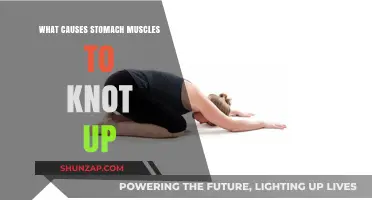 Understanding Stomach Muscle Knots: Causes and Relief Strategies Explained