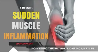 Unraveling Sudden Muscle Inflammation: Causes and Triggers Explained