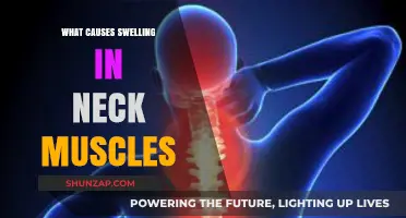 Understanding Neck Muscle Swelling: Causes and Potential Underlying Factors