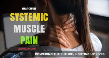 Understanding Systemic Muscle Pain: Causes, Triggers, and Underlying Factors