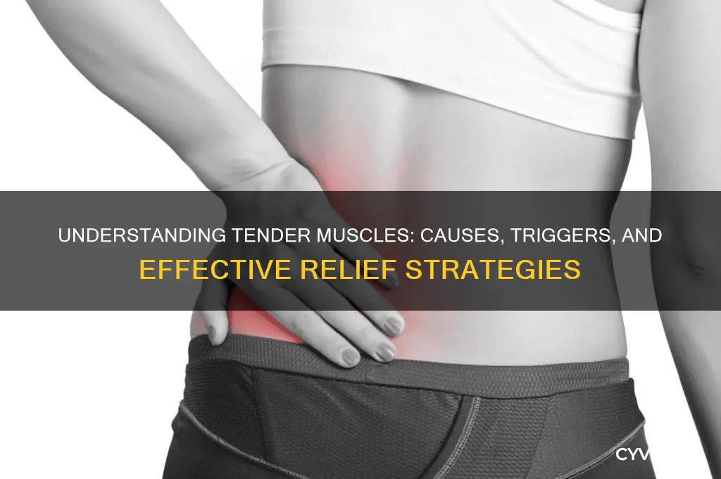 what causes tender muscles