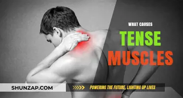 Unraveling the Root Causes of Persistent Muscle Tension and Tightness