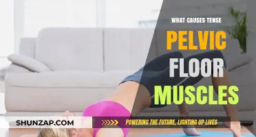 Understanding the Root Causes of Tense Pelvic Floor Muscles
