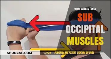 Understanding Tense Sub Occipital Muscles: Causes and Triggers Explained